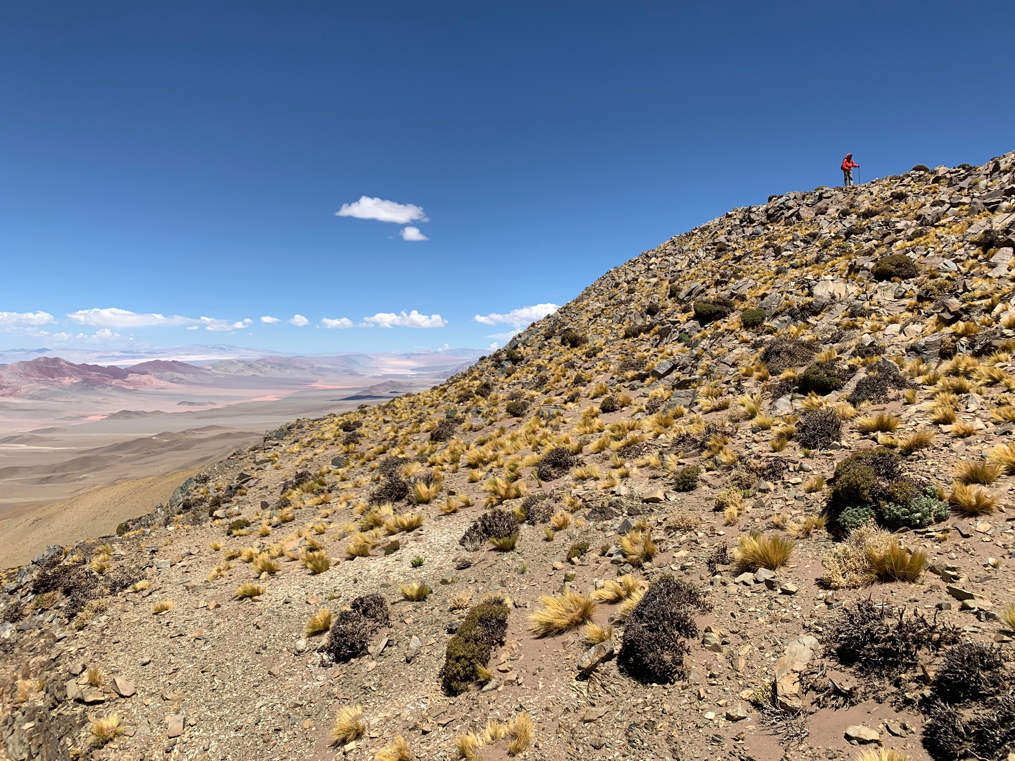 Hiking to the top of the Calalaste range (Argentina)